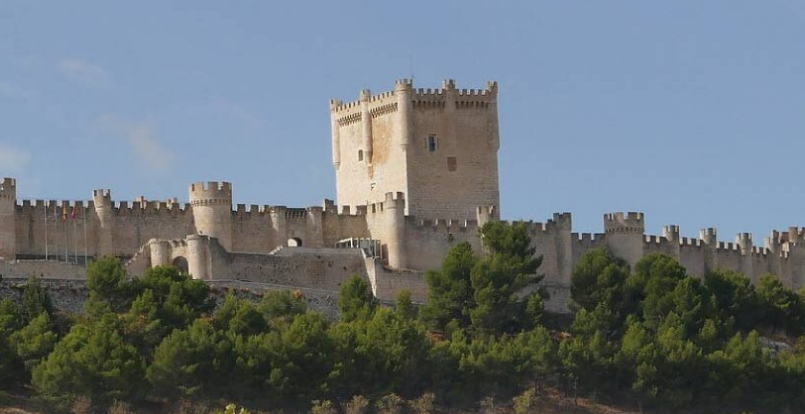 DO RIBERA DEL DUERO EST. 1982