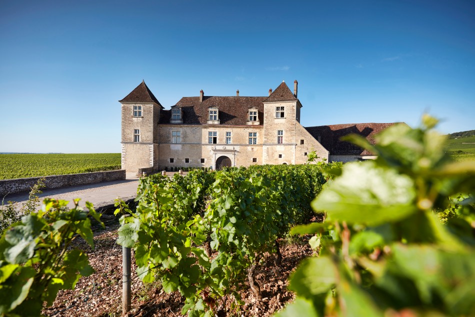 Château du Clos de Vougeot（图片：讲义）